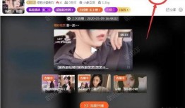 主播爆料缅甸视频播放软件,主播爆料背后的真相