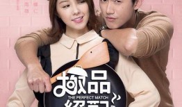 极品绝配土豆在线观看,极品绝配的浪漫邂逅