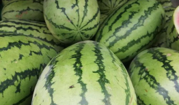 上海吃瓜群微信免费吗,上海吃瓜群微信免费参与，畅享美食资讯新体验